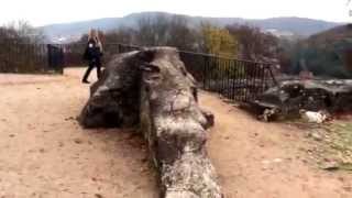 The Castel of Schlossberg