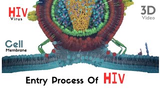Viral entry process of HIV (virus) | 3D animated video