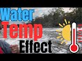 The Effect Water Temperature has on Salmon &amp; Steelhead Activity in Rivers