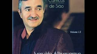 Ivonaldo Albuquerque - As 20 Melhores Resumo De 12 Lançamentos