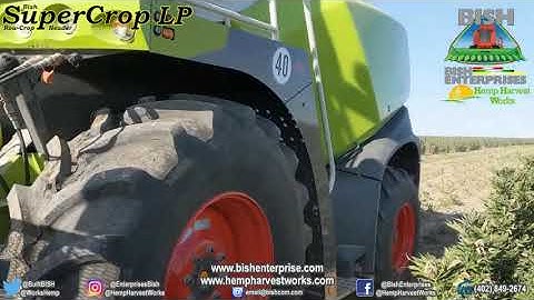 SuperCropLP Header - Hemp Highlight