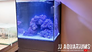 HOW TO | Start A Reef Aquarium For Beginners | EP 2 Hardscape |