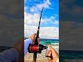 BIG Spanish Mackerel caught Beach Fishing!