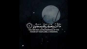 سورة القلم | القارئ اسلام صبحي