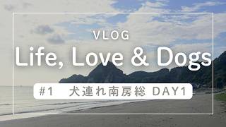 #1 犬連れ南房総202604 day1