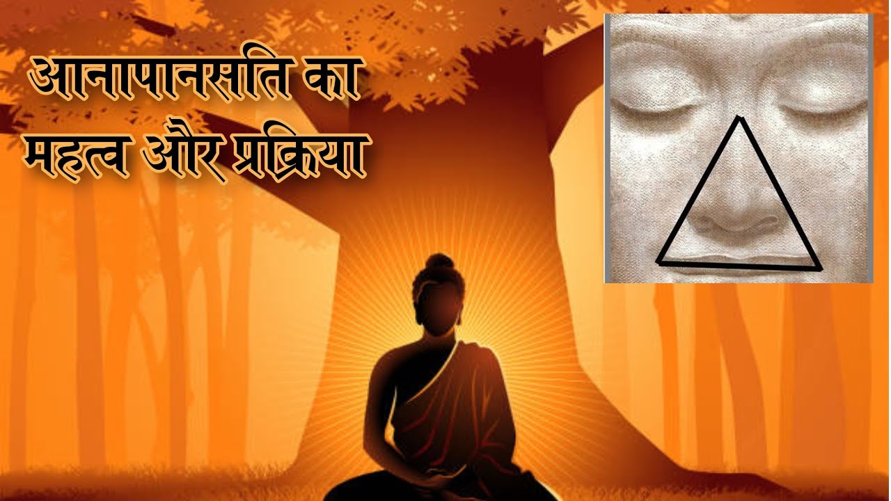 आनापान का महत्व और प्रक्रिया @wheelofdhamma #vipassana #dhamma #buddhadhamma #anapanasati