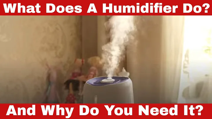 What Does a Humidifier Do? Why Do You Need It? - DayDayNews