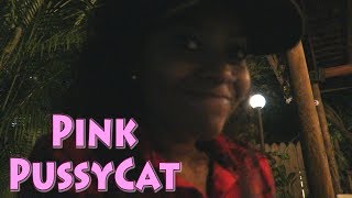 Pink Pussycat | Vlog #214