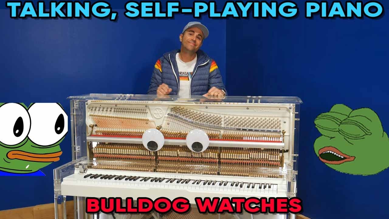 Bulldog Watches "Robot Piano Catches Fire Playing Rush E" by Mark Rober