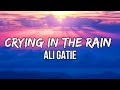 Ali Gatie - Crying in the Rain (Lyrics)