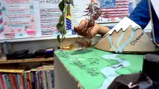 New Hampshire State Float by Felix the Cat
