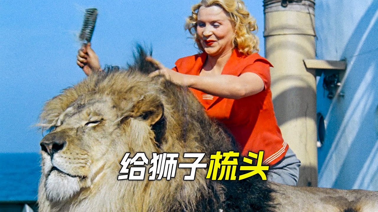 男人洗澡時，背後出現一頭老虎，科幻，奇幻，電影，解說，獵奇，冒險，動作，老虎，短片，short film