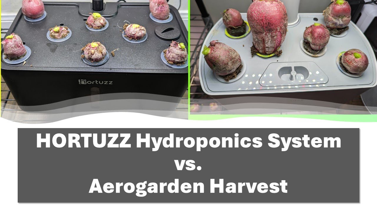 HORTUZZ Hydroponics System vs. Aerogarden Harvest (Radish experiment