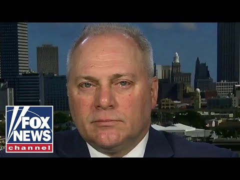 scalise-reacts-to-ag-ellison's-claim-of-'bernie-bros'-not-being-violent