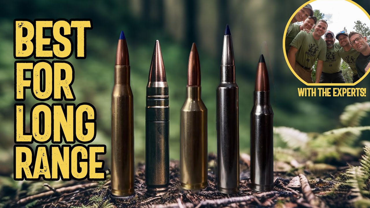 5 Best Cartridges for Long Range Shooting YouTube