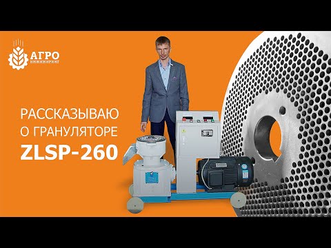 Гранулятор ZLSP-260. Принцип работы гранулятора и особенности производства матриц.