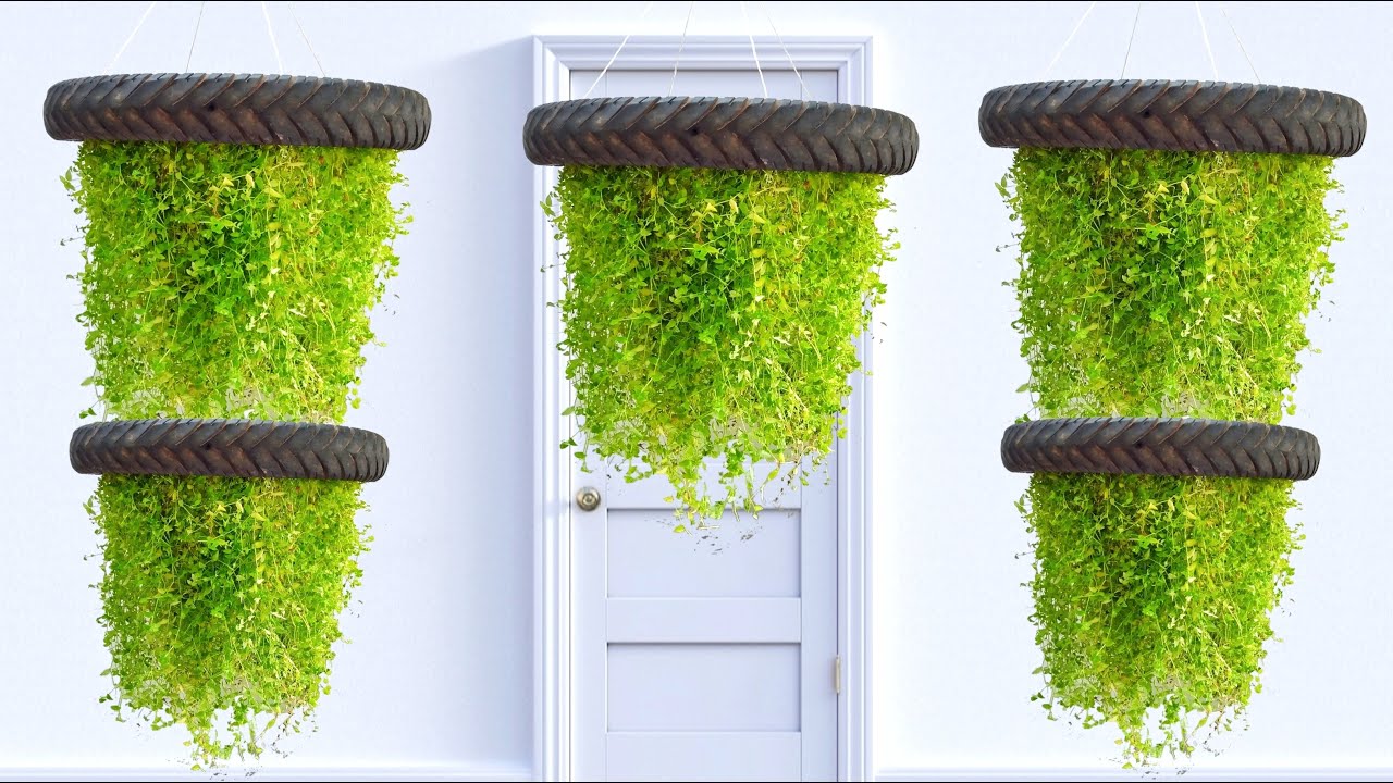 amazing hanging plant ideas / evergreen turtle vine plant /hanging garden /gardening ideas for