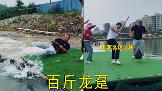 黑坑水库盘嚣张老板，新手挑战钓龙趸，成功把老板娘惹生气了