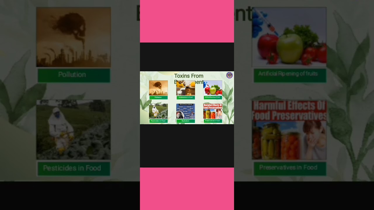 Awpl 🌹 new business plan 2026