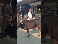 “99% log is jagah ko pehli baar dekhenge 😳 | Mumbai