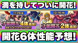 【ドラクエタクト】先取りカレンダー確認と開花性能予想！