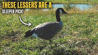 Hunters are SLEEPING on these Lesser Decoys! (Dakota Signature Series Lessers)