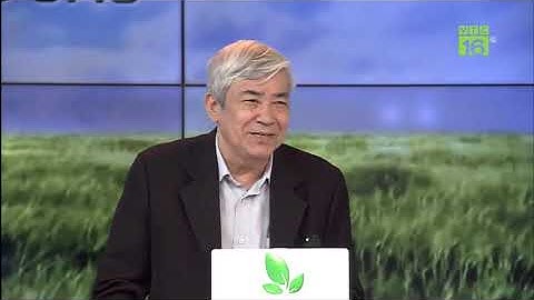 Nuôi cá bằng công nghệ biofloc thì khoáng để làm công nghệ là loại khoáng gì?