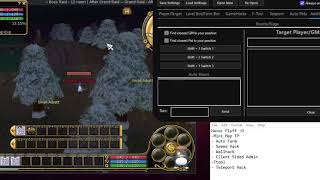 Havoc Flyff Auto Farm Bot
