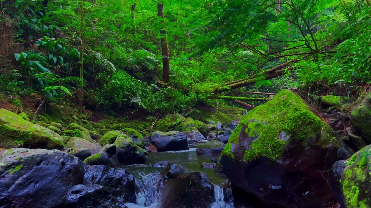 Calm River Melody - Peaceful River Ambience | sleep - relax - enjoy life - ASMR