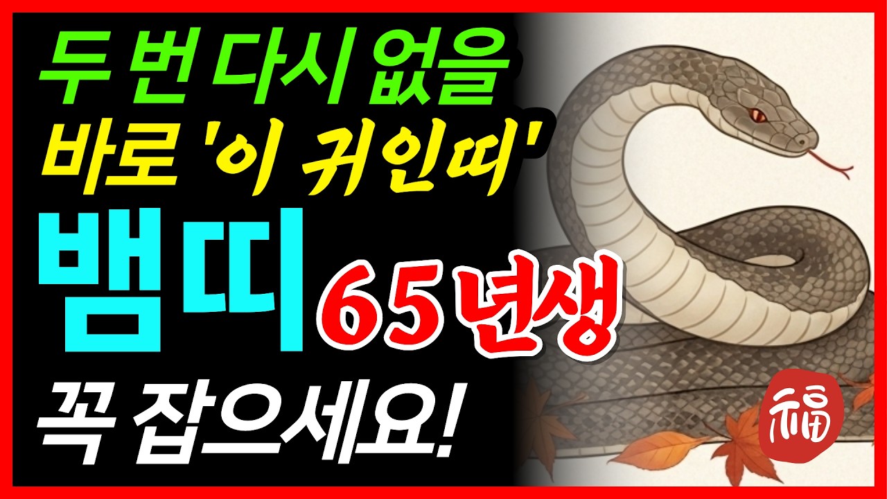 고생 많았다 뱀띠! 🌟2026년 1965년생 61세 뱀띠운세🌟2026년 옆에 '이 띠'가 있다면 놓치지 마세요 65년생 61세 뱀띠 귀인띠 신년운세
