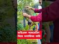 ডাইররেক সাবমেরিন #internet #automobile #funny #isp #comedy