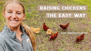 Raising Backyard Chickens the EASY Way 🐓