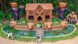 Rescued Puppies Live In Beautiful House Halloween With Aquarium