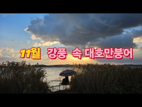 11월 강풍 속 대호만 출조