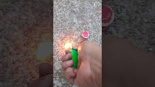 Camellia Flower Firework