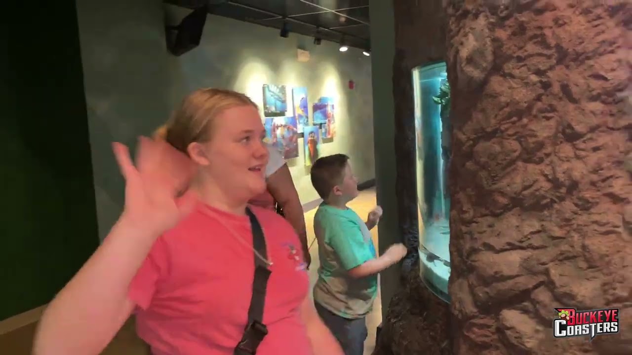 First Look - Newport Aquarium Experience