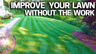 What HUMIC ACID can do for your LAWN