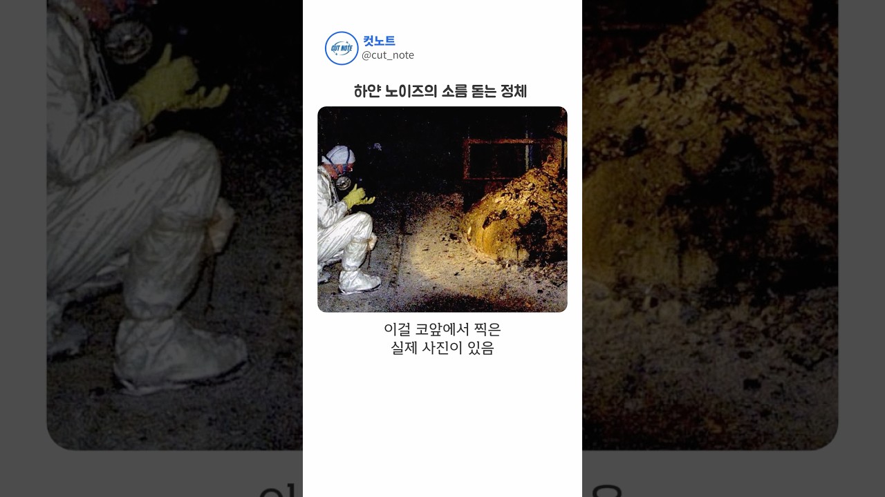 체르노빌 괴물 덩어리 옆에 유령처럼 찍힌 사람;;