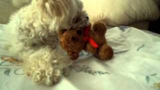 MOV01469.AVI