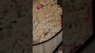 Ferret Vlog (Flog?) June 2024 Part 1