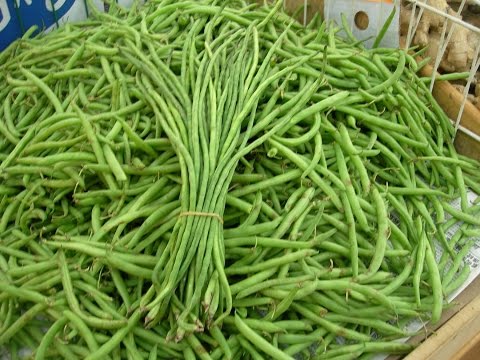 Health Benefits of Yard Long Bean During Pregnancy