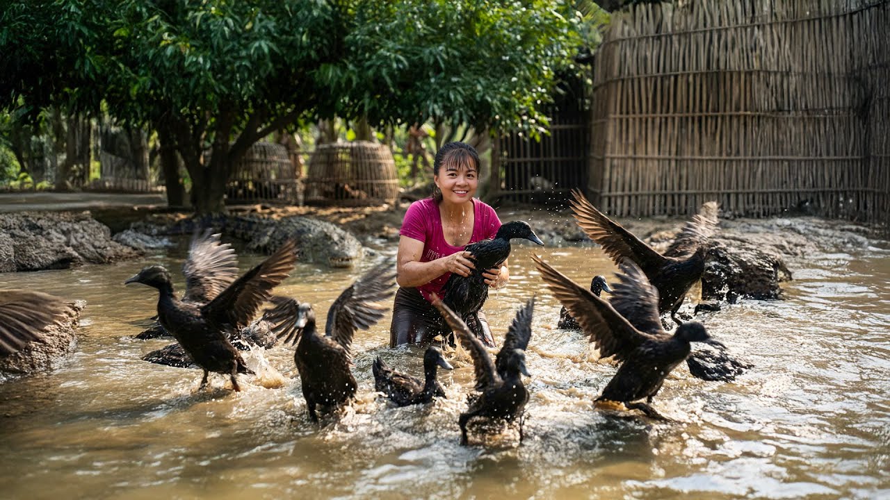 ¡Impactante! Cosecha de Patos Mudos en el Peligroso Pantano del Amazonas Lleno de Cocodrilos🐊🦆