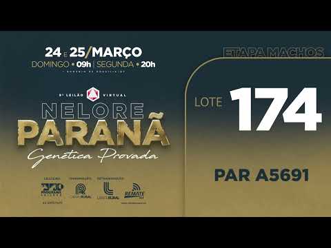 LOTE   174 PAR A5691