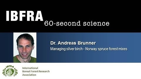 60-second science with Dr.  Andreas Brunner, managing silver birch - Norway spruce forest mixes