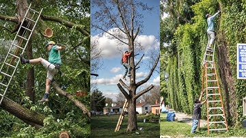 Funniest Tree Cutting Fails 10