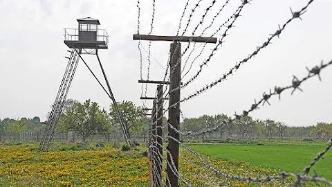 Jak se srovnají potraviny bohaté na železo?