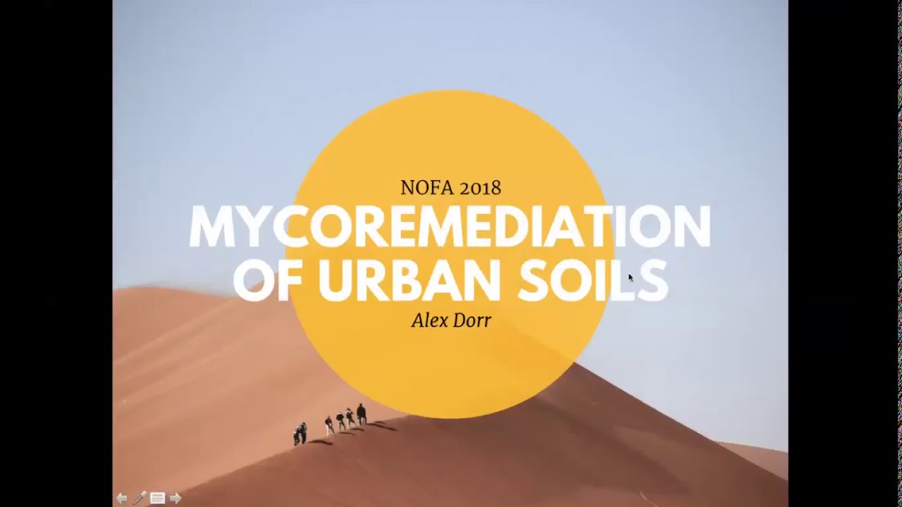 Mycoremediation of Urban Soils with Alex Dorr (Inspiring Ideas from Experts in the Field series)