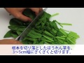 ざく切り 【まずはここから！｜料理の基本】