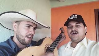 Blusa Amarela - Gino e Geno