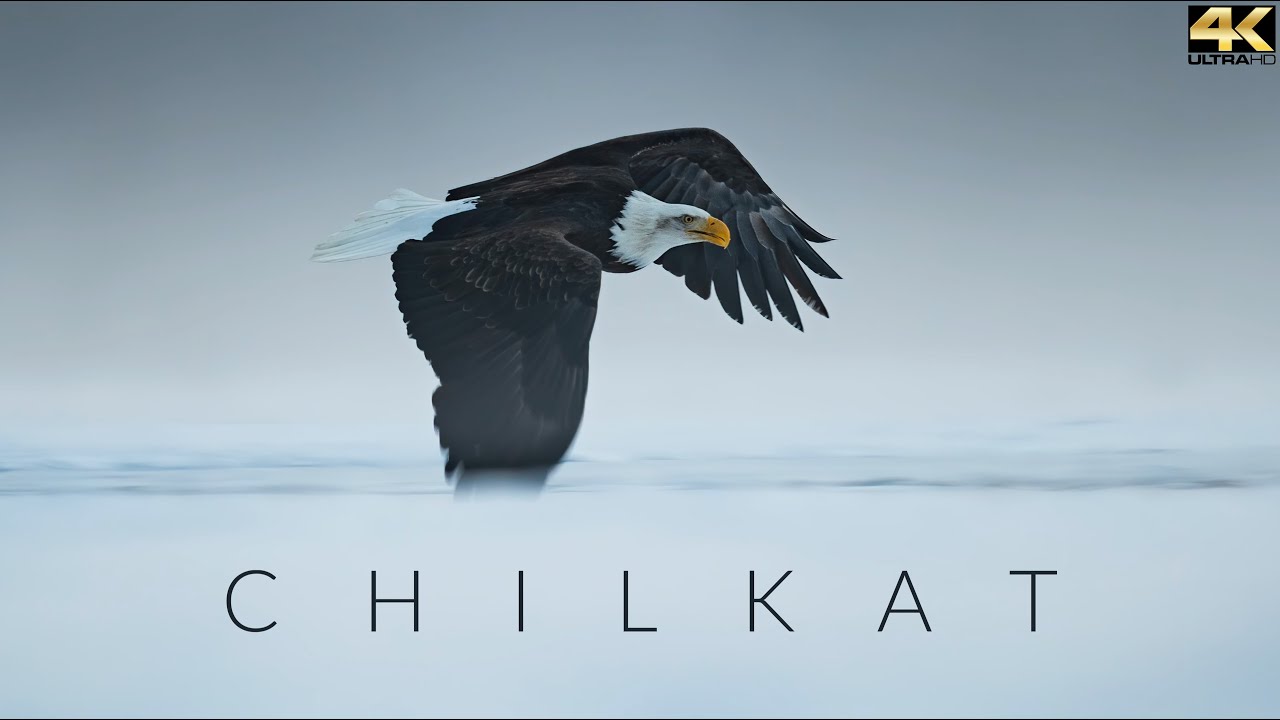 Chilkat